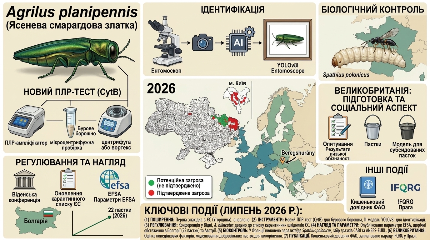 Інформаційний бюлетень Мережі експертів EPPO, що займаються наглядом, моніторингом та боротьбою зі смарагдовим ясеневим жуком, Agrilus planipennis