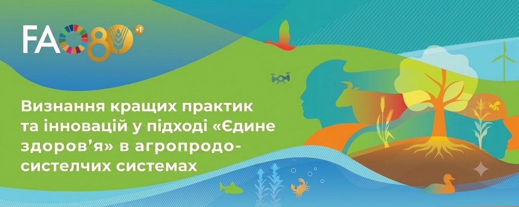 Єдине здоров’я
